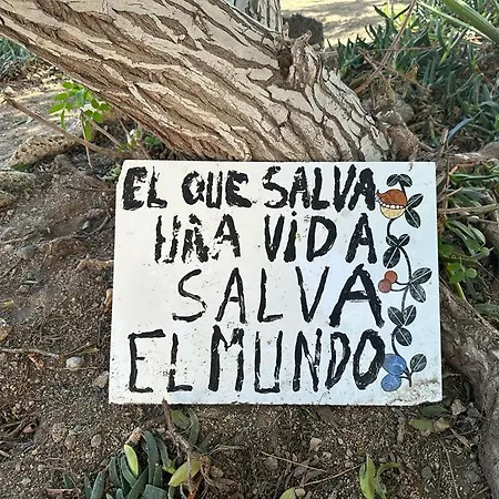 Oceanicjaca Апартаменты