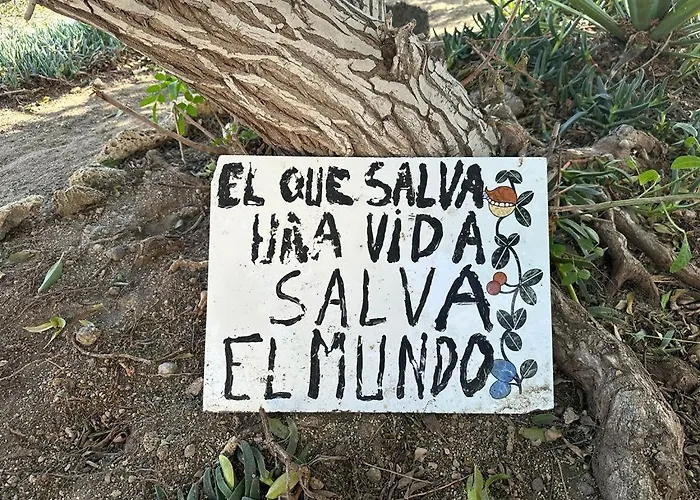 Oceanicjaca Apartamento